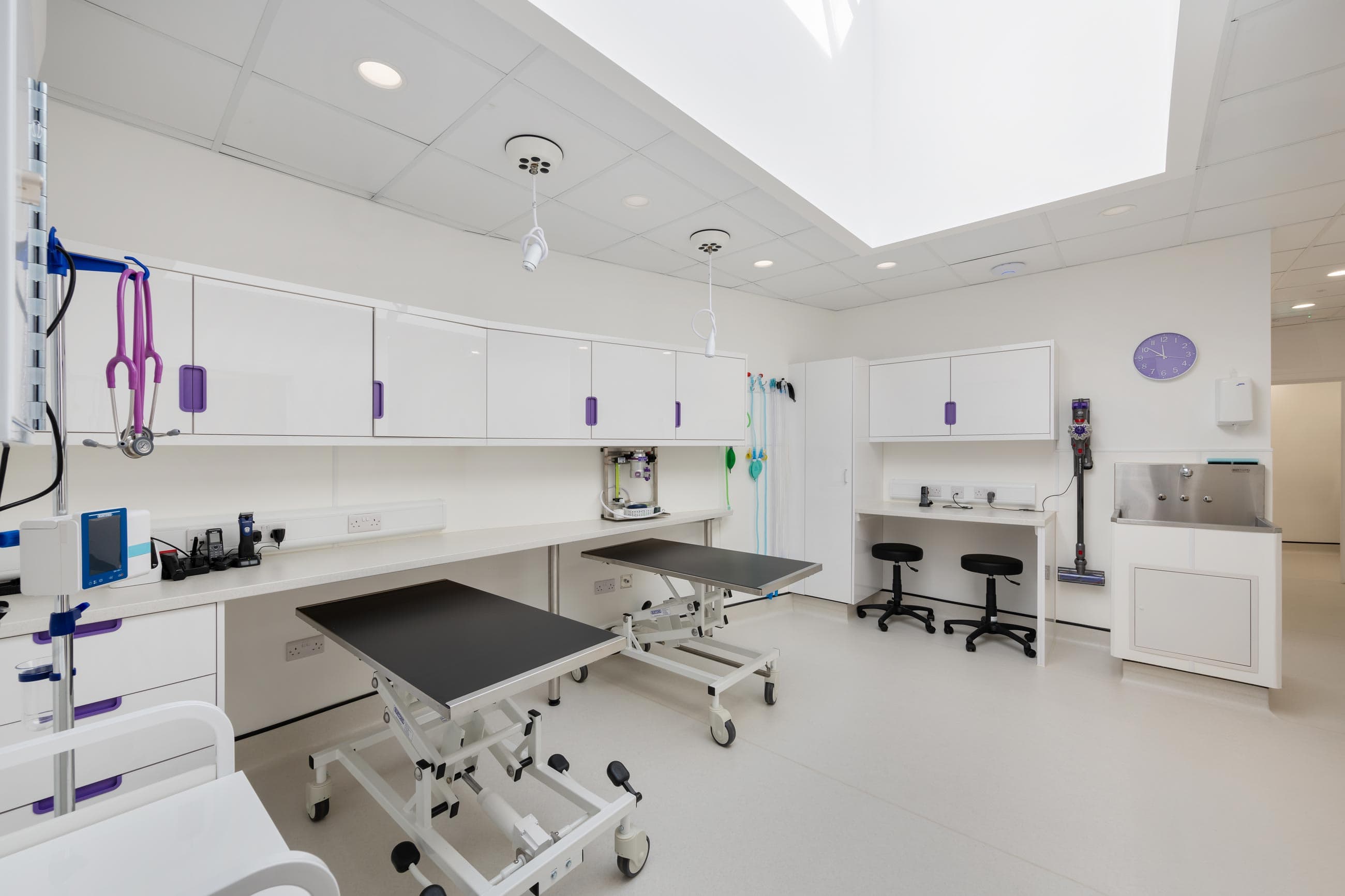 Bright veterinary clinic interior featuring examination tables, cabinets, and medical equipment, with natural light from a skylight.