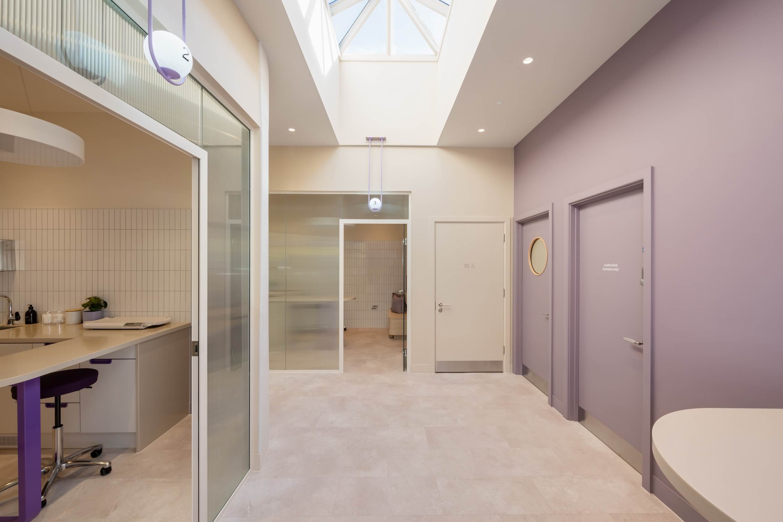 Bright, modern hallway with purple walls, glass partitions, and a skylight, featuring multiple doors and contemporary furnishings.