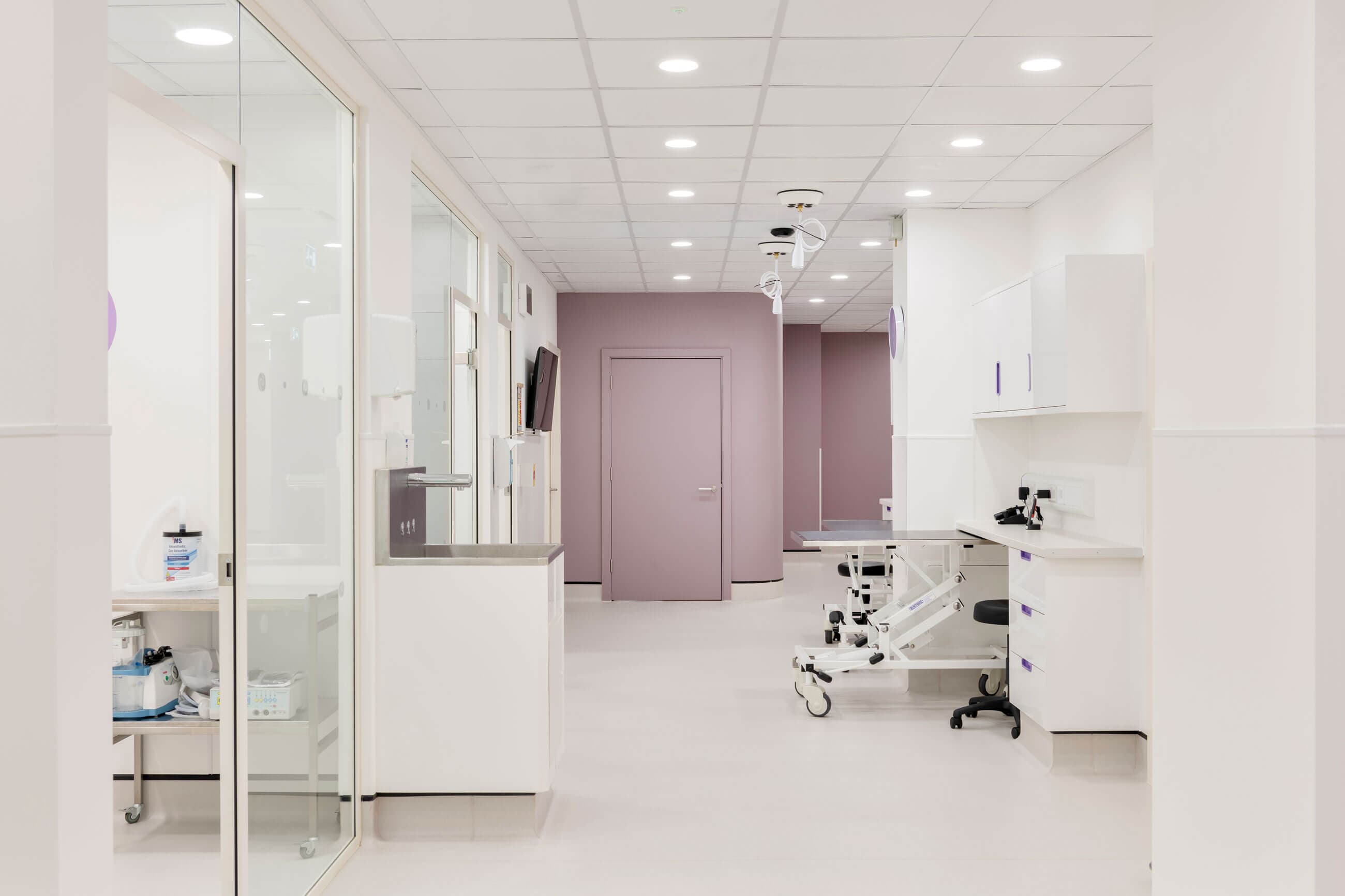 Bright, modern medical hallway featuring white cabinets, a lavender wall, and clinical equipment, creating a clean and welcoming environment.