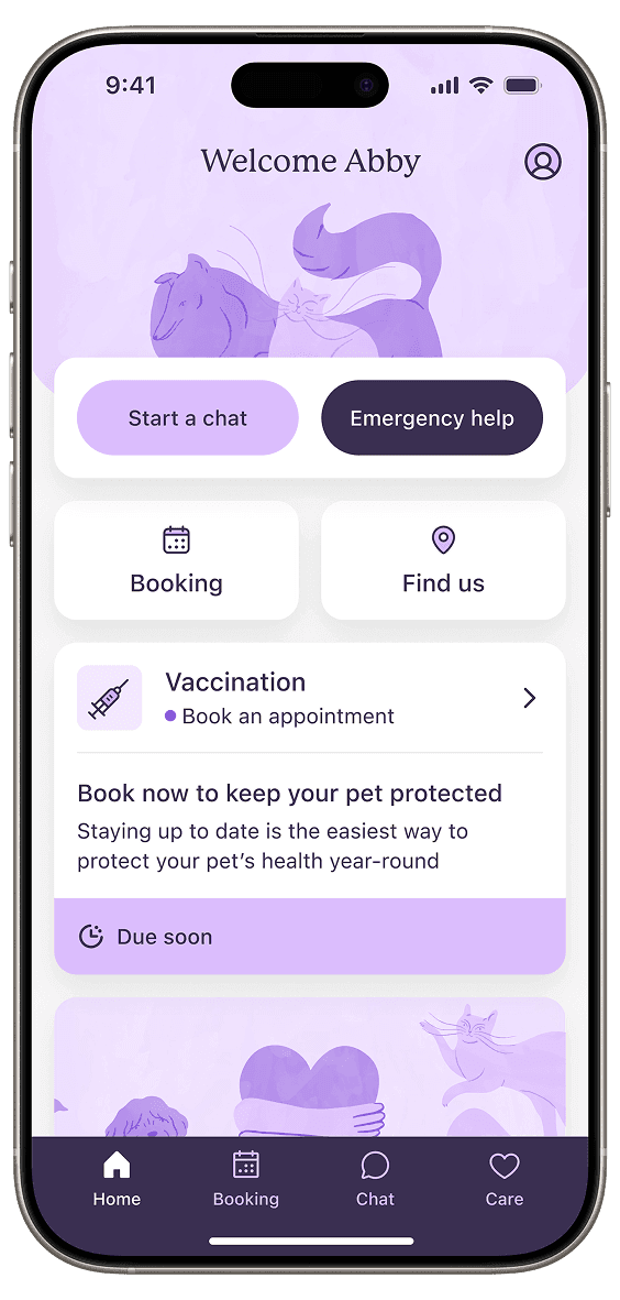 A mobile phone showing the Creature Comforts app