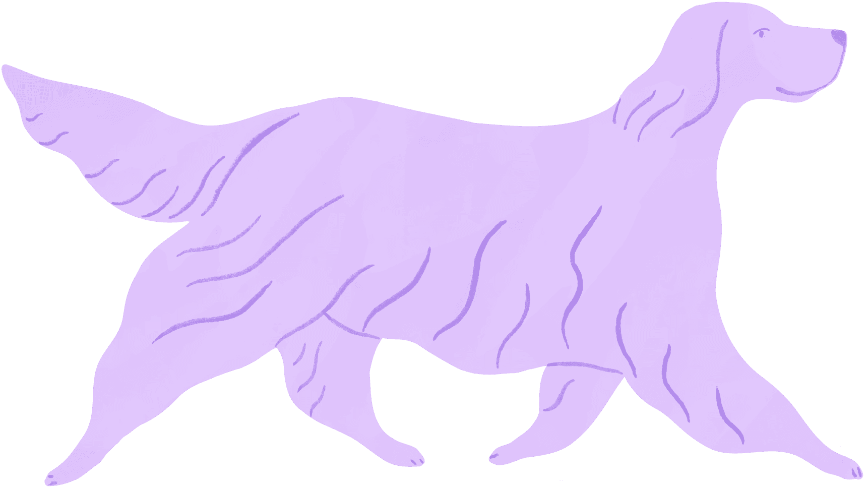 Creature comforts image