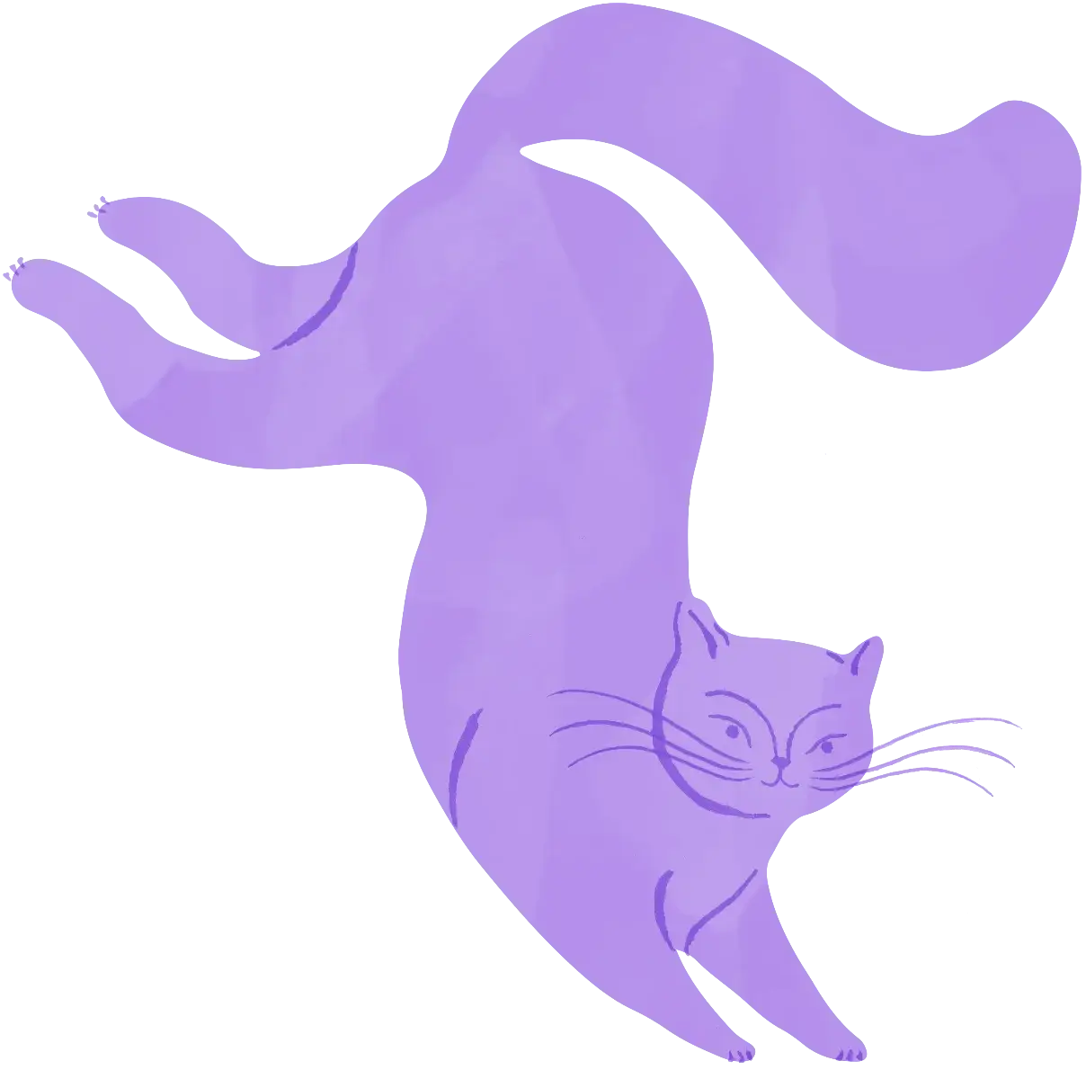 Creature Comfort's asset