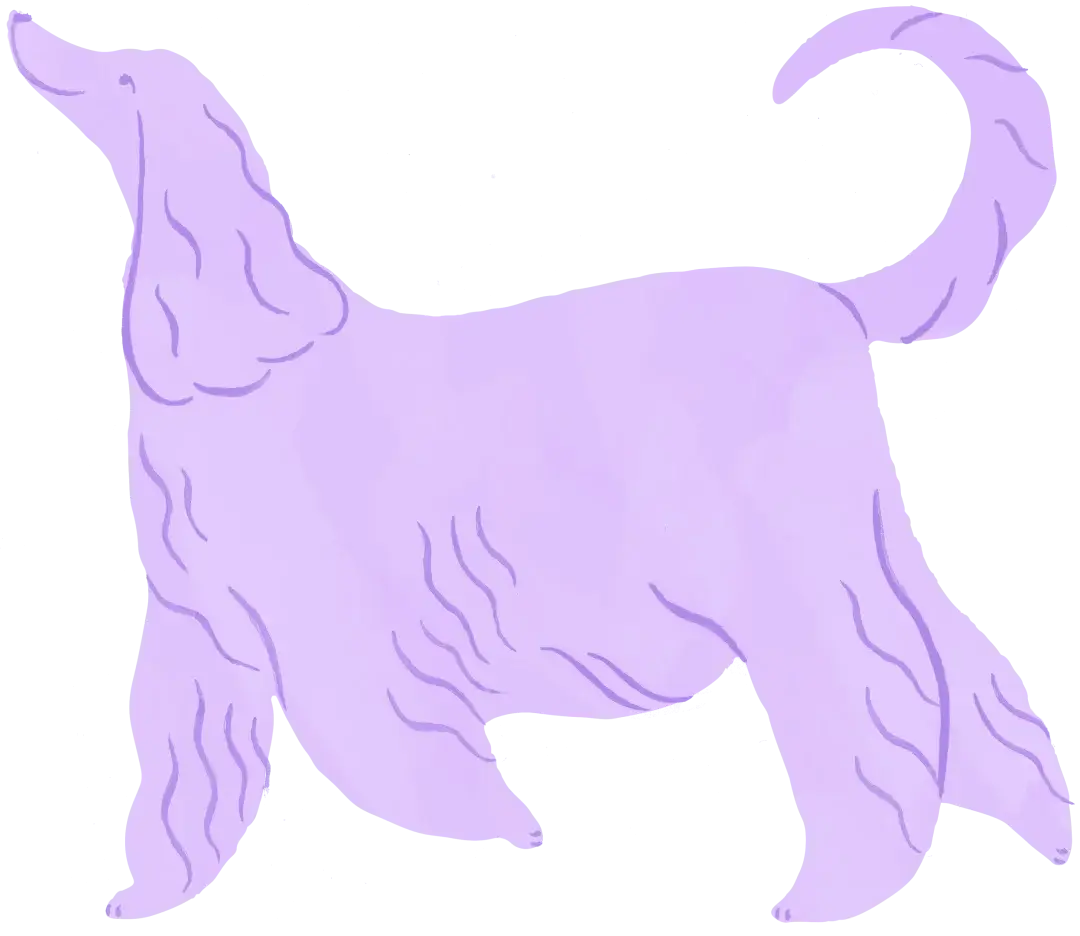 Creature comforts image